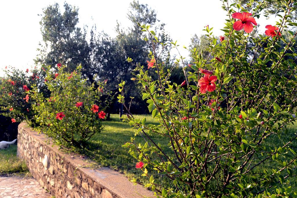 Casa con 3 Camere da Letto